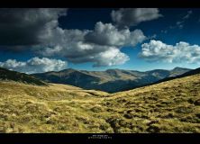 mts gugu-moraru-godeanu.jpg